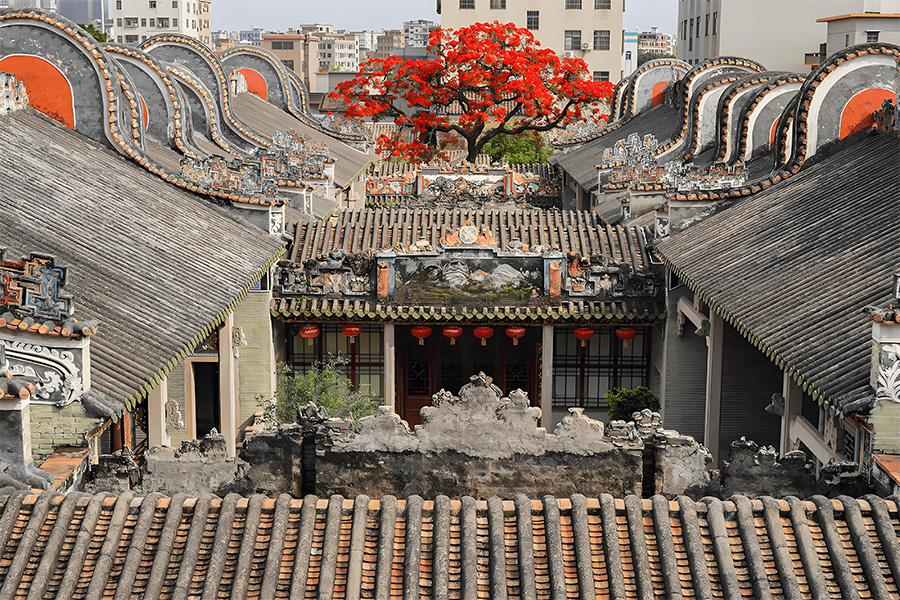 金凤粤派建筑