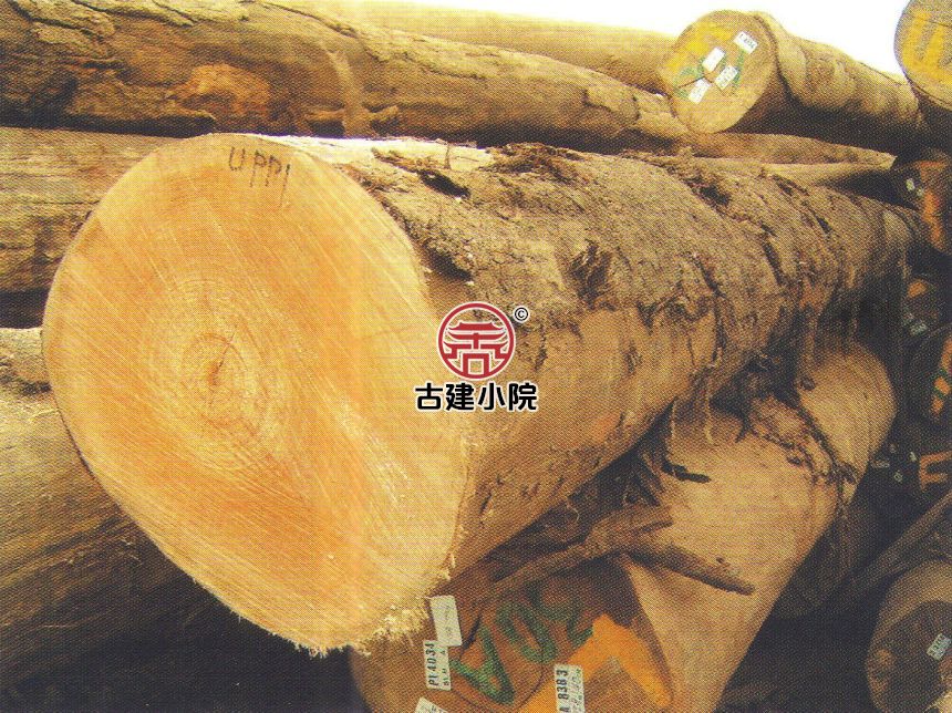 丹江口印缅漆