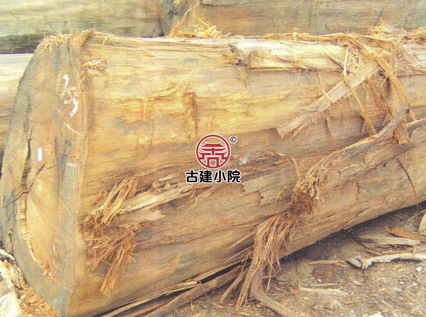 泰州山樟木造价