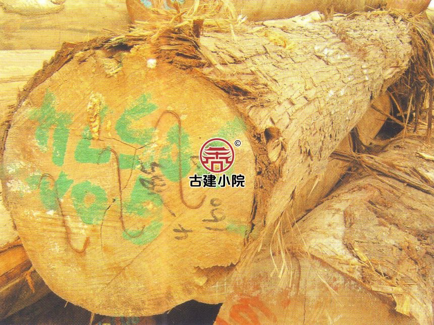 棱柱木