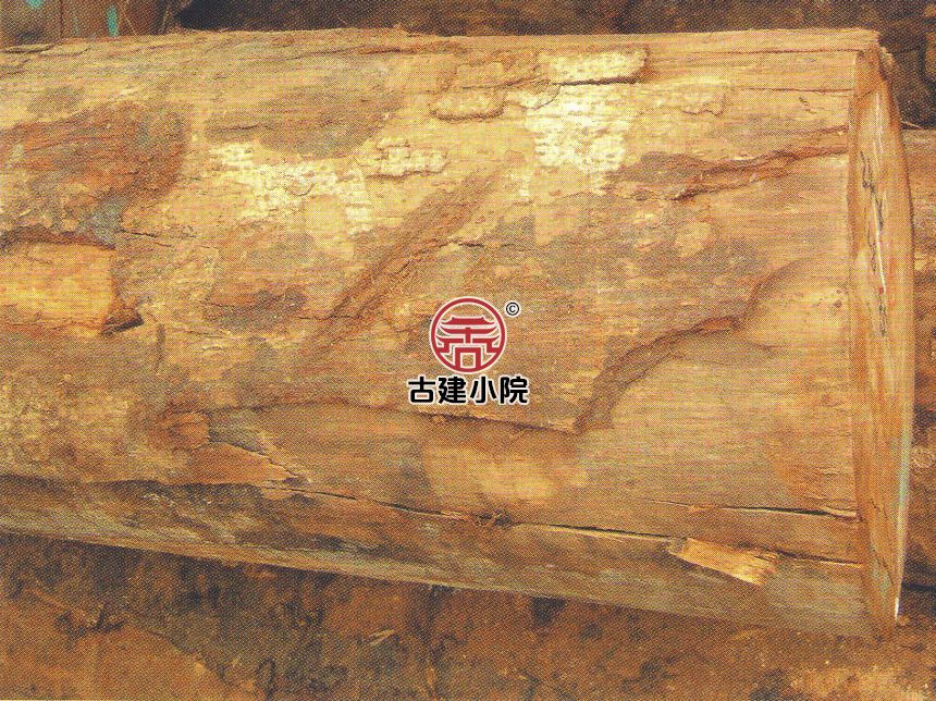 香樟木