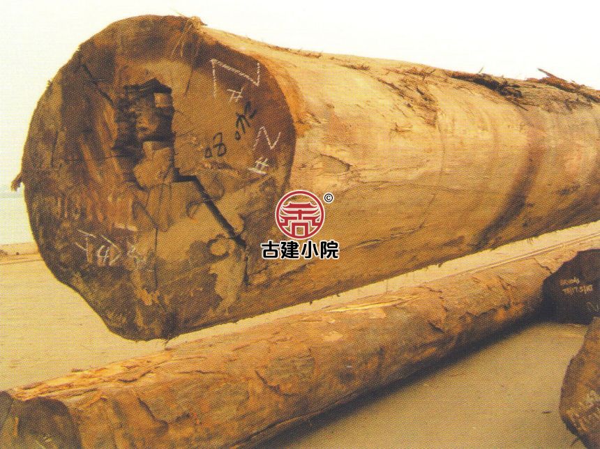 冷水滩黄梁木Samama