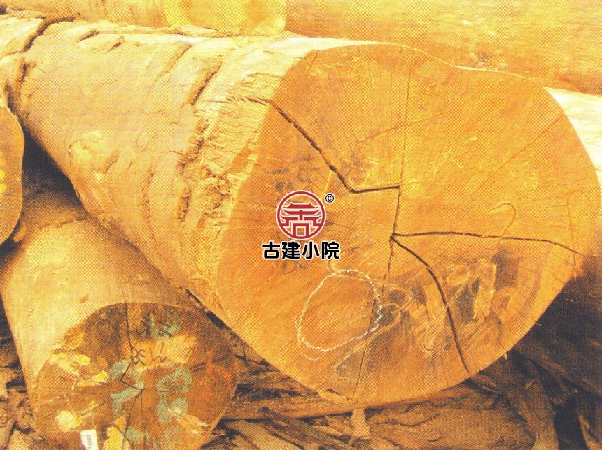光坡镇红山榄木工程报价