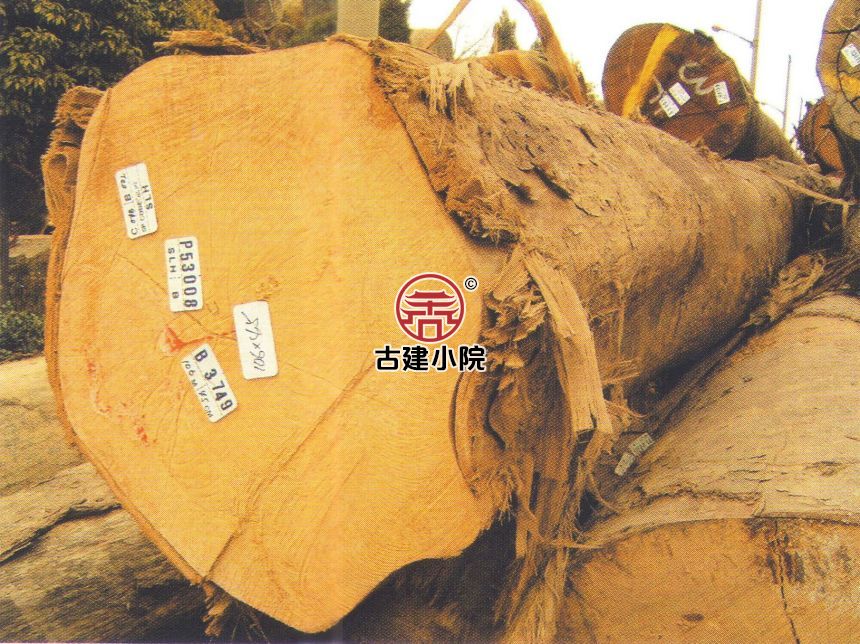 平舆苹婆木结构