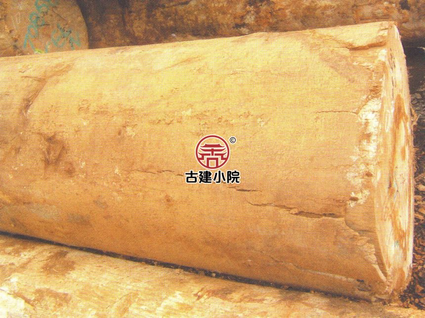鄂尔多斯软朴木
