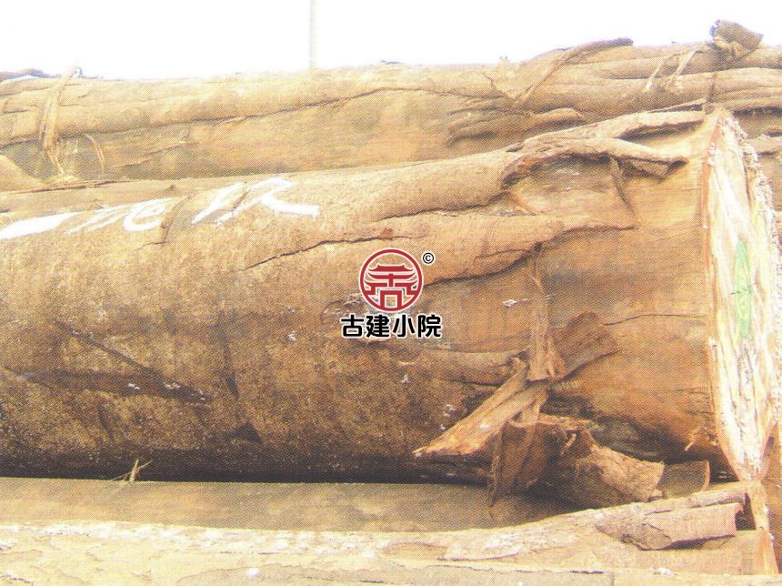 万荣软短盖豆