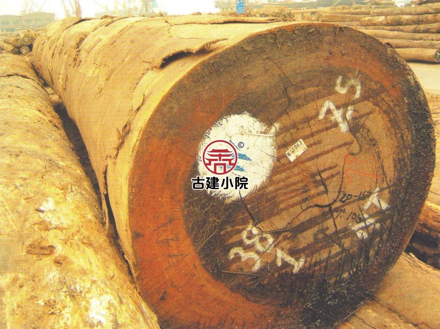 灵石香脂树企业