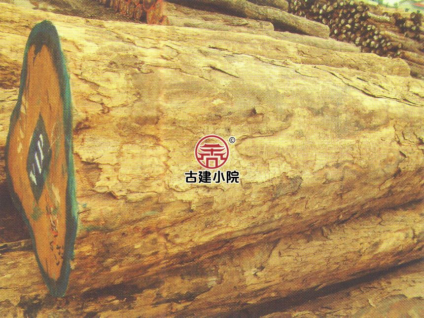 珙县大红铁木豆