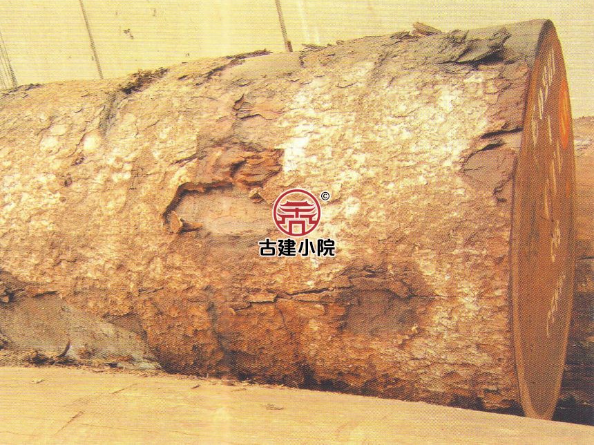 珙县沙比利