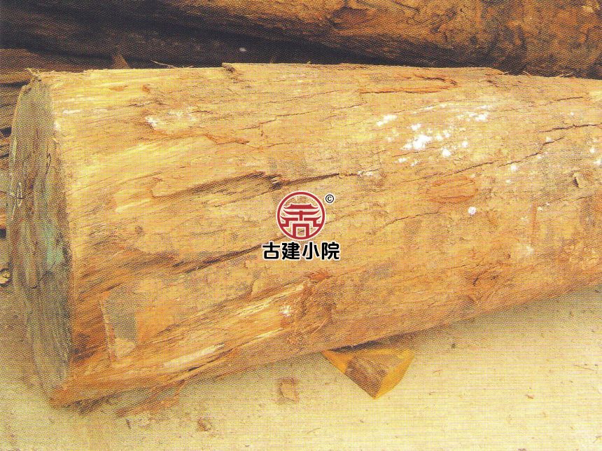 芝罘凹果豆蔻企业