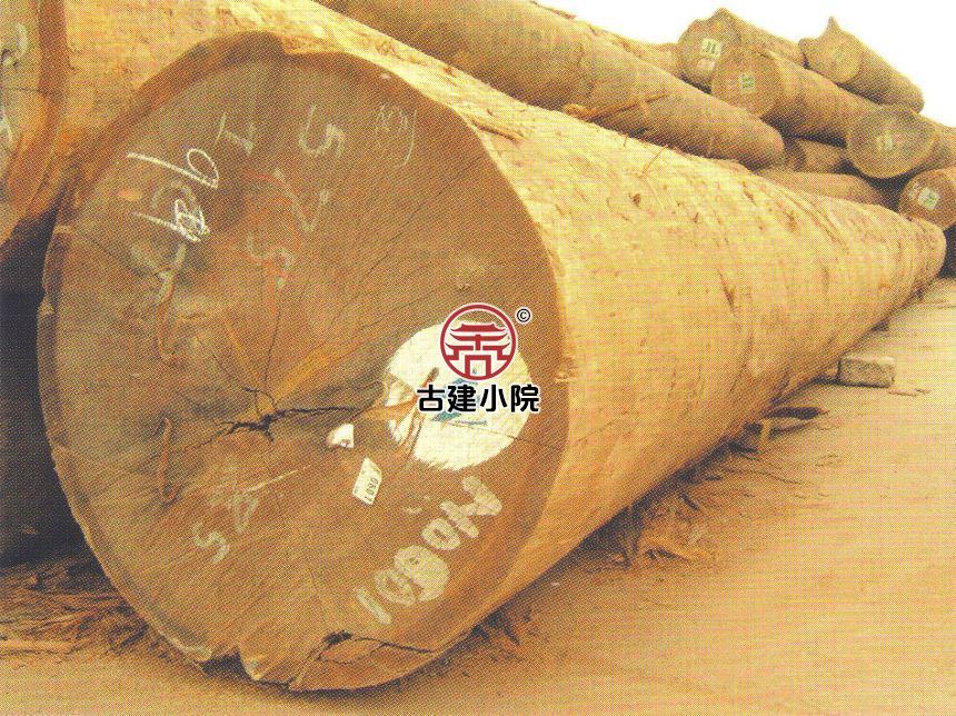 鄂尔多斯莱特山榄