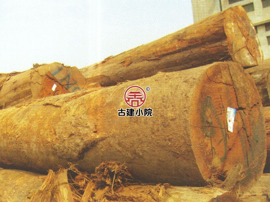 鄂尔多斯甘蓝豆