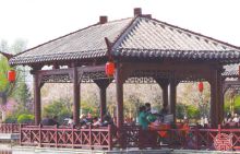 广东水榭案例003